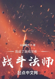 I Became the Only Battle Mage in the Game