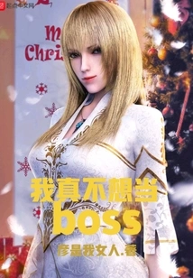 I Really Don't Want to Be the Boss