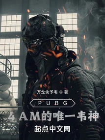 Playerunknown's Battlegrounds: 4am's Only Wei Shen