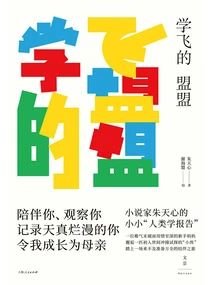 Learn to Fly Alliance