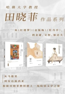 Tian Xiaofei's Works 3-volume Set