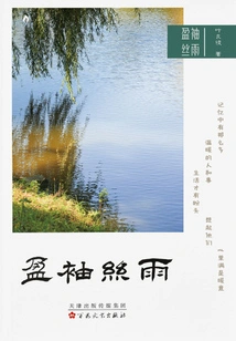 Silk Rain in Sleeves