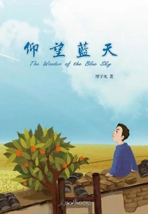 Looking up at the Blue Sky