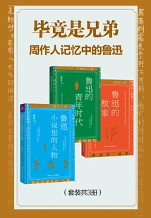 They Are Brothers after All: Lu Xun in Zhou Zuoren's Memory (set of 3 Volumes)