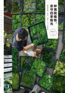 The Yard is Filled with Plants to Enjoy the Sunshine in All Seasons