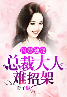 Flash Marriage: the Ceo is Hard to Resist