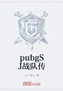 Pubgsj Team Biography