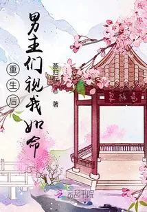 After My Rebirth, the Male Protagonists Regard Me as My Life