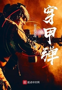 Armor-piercing Projectile