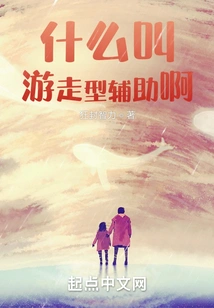 What is Wandering Assistance?