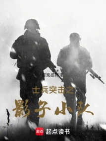 Soldier Assault Shadow Squad