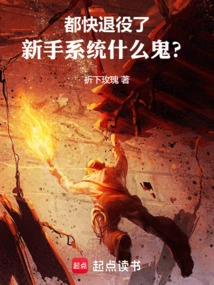 He's Almost Retired, What the Hell is a Novice System?