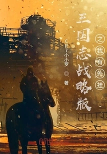 Romance of the Three Kingdoms Strategy Edition: I Have a Plug-in