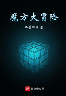 Rubik's Cube Adventure