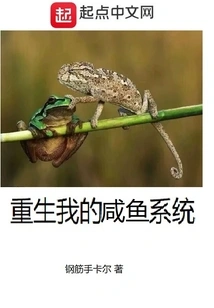 Rebirth My Salted Fish System