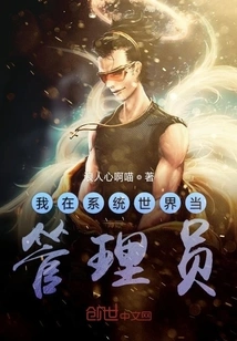 I Work as an Administrator in the System World