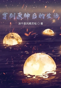 Life after Traveling to Genshin Impact