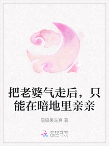 After Making My Wife Angry, I Can Only Kiss Her in Secret