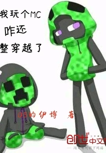 Why Did I Travel Through Time When I Was Playing Mc?