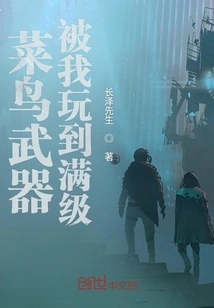 I Played the Rookie Weapon to the Max Level