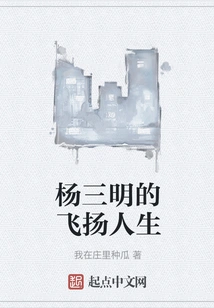 Yang Sanming's Flying Life