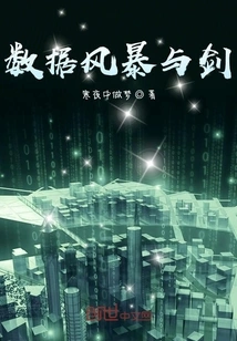 Data Storm and Sword