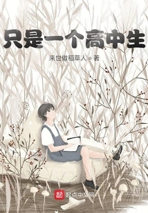 Just a High School Student