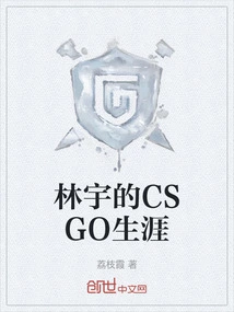 Lin Yu's Csgo Career