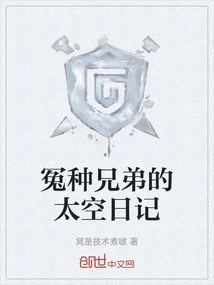 The Space Diary of Wrong Brothers