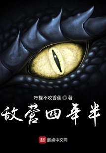 Enemy Camp for Four and a Half Years