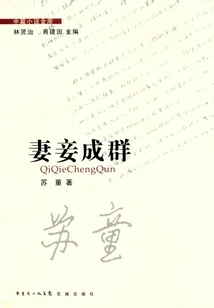 Wives and Concubines (original Work of the Movie "raise the Red Lantern")