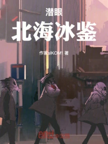 Hidden Eyes: North Sea Ice Mirror