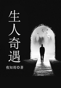 Adventures of Strangers