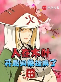 I'm in Konoha, and the Opening Entry is a Mess