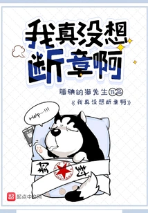 I Really Didn't Want to Break the Story