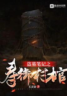 Tomb Robbery Notes: Shou Yucun Coffin