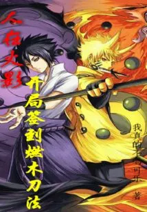 People Are in Hokage, and They Sign in the Wood-burning Sword Technique at the Beginning