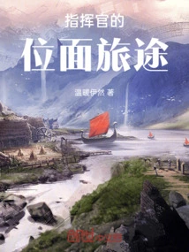 Commander's Plane Journey