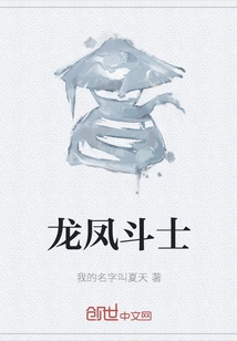 Dragon and Phoenix Fighter