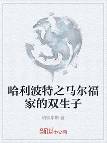 Harry Potter: the Malfoy Twins