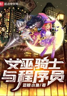 Witch Knight and Programmer