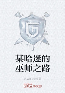 A Certain Fan's Path to a Wizard