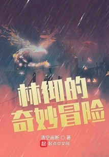 Lin Che's Bizarre Adventure