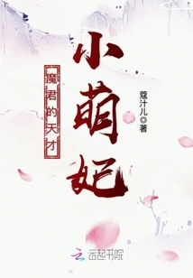 The Demon Lord's Genius Little Concubine