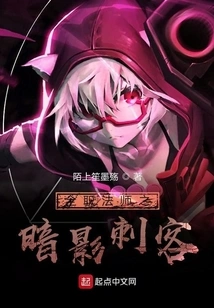 Versatile Mage Shadow Assassin