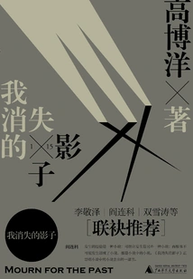 My Disappearing Shadow