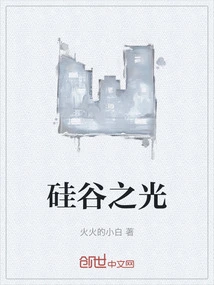 Silicon Valley Light