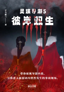 Psychic Guide 5: Twins on the Other Side