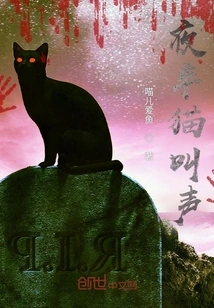 Cat Meows in the Middle of the Night