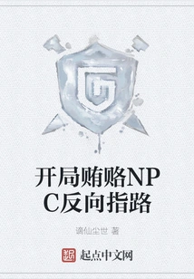 Bribing the Npc to Give Directions at the Beginning